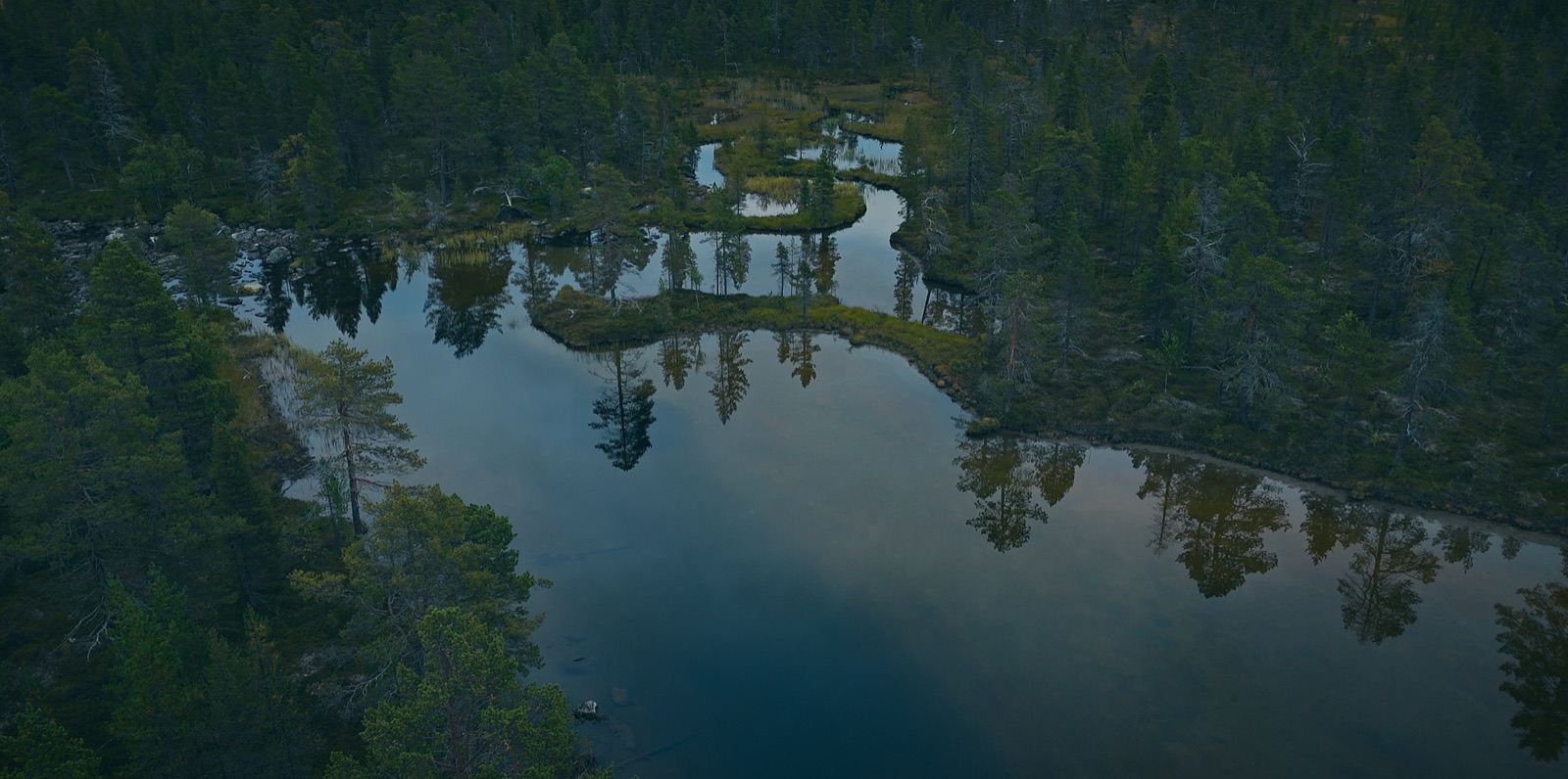 Ilmakuva tyynestä metsälammesta Lapin erämaassa