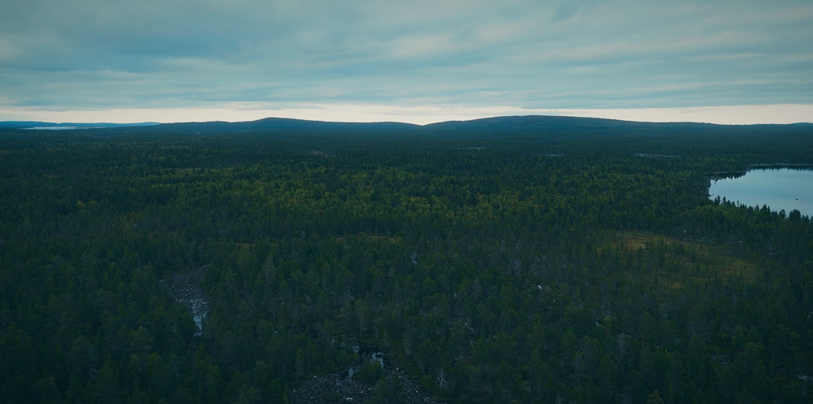 Ilmakuva metsäisistä vaaroista ja järvestä Lapin erämaassa